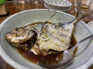 定置網あじろ・品川【名誉博士のさかなクンもびっくり?】