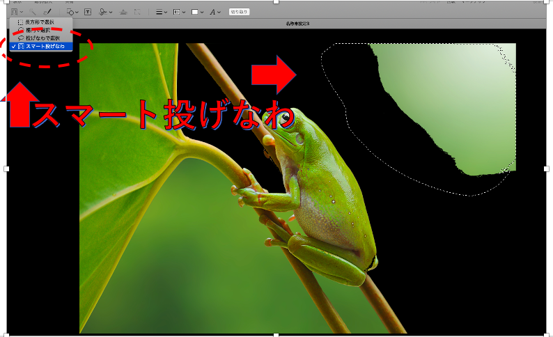 Mac プレビュー 画像 背景削除 透過 編集 貼り付け行う方法 シルクスクリーン Furublog