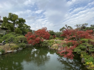 神戸・相楽園11月の紅葉とウェディング写真のシーズン
