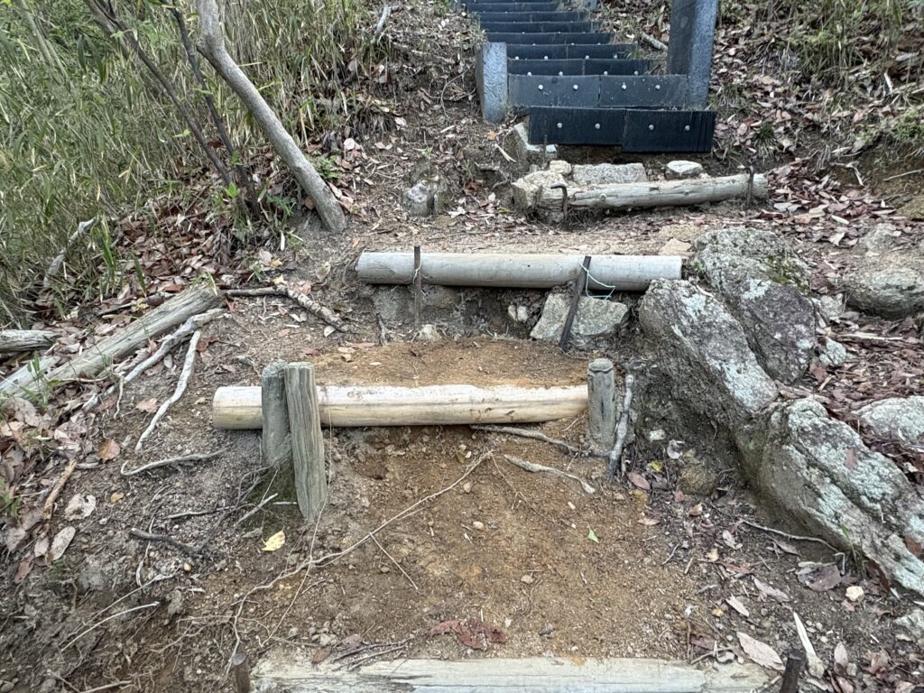 新しく岡本さんによって設置された丸太。2026年4月撮影