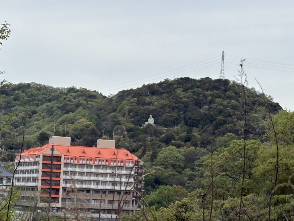 山中から見える鵯越大仏