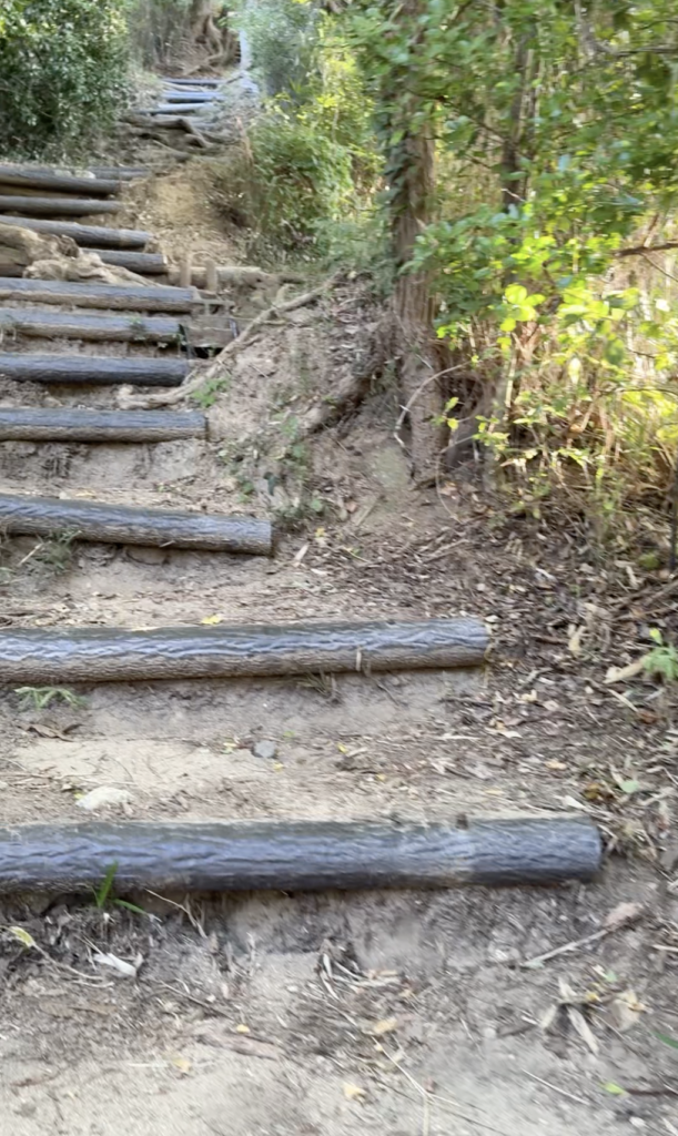 菊水山名物の通称地獄の階段