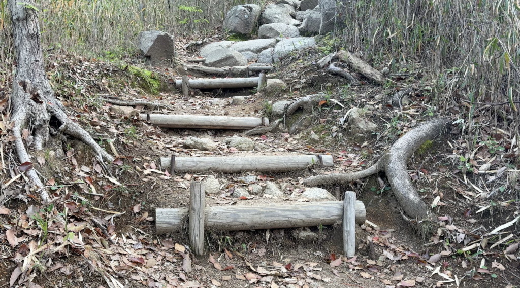 20年かけて設置された山道の丸太。