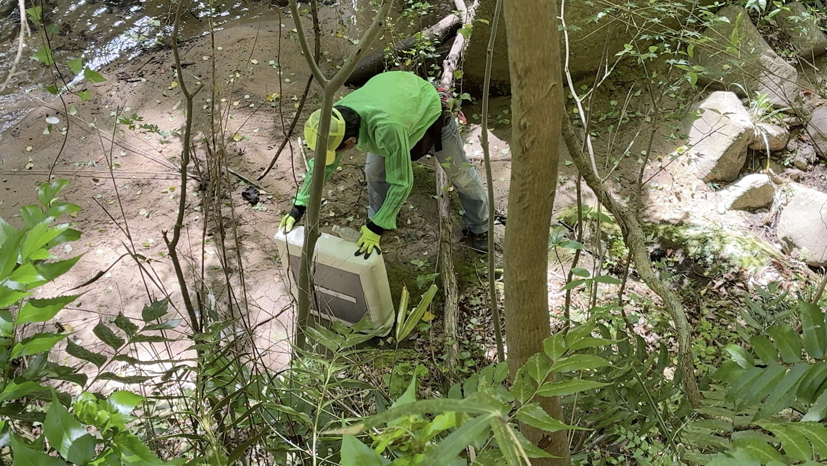 川底からの回収作業　2026年4月撮影