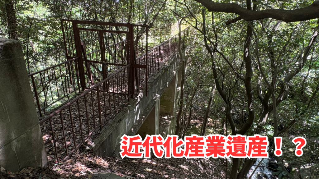 草木に覆われ全体像は見えにくいものの、橋脚部に残る特徴的な意匠は石井川水道橋と共通しており、同時期の烏原導水路構造