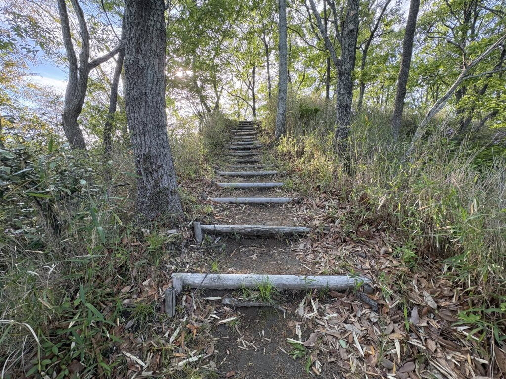 ひよどり道に設置された丸太。現在も山道として整備されていることが分かる。