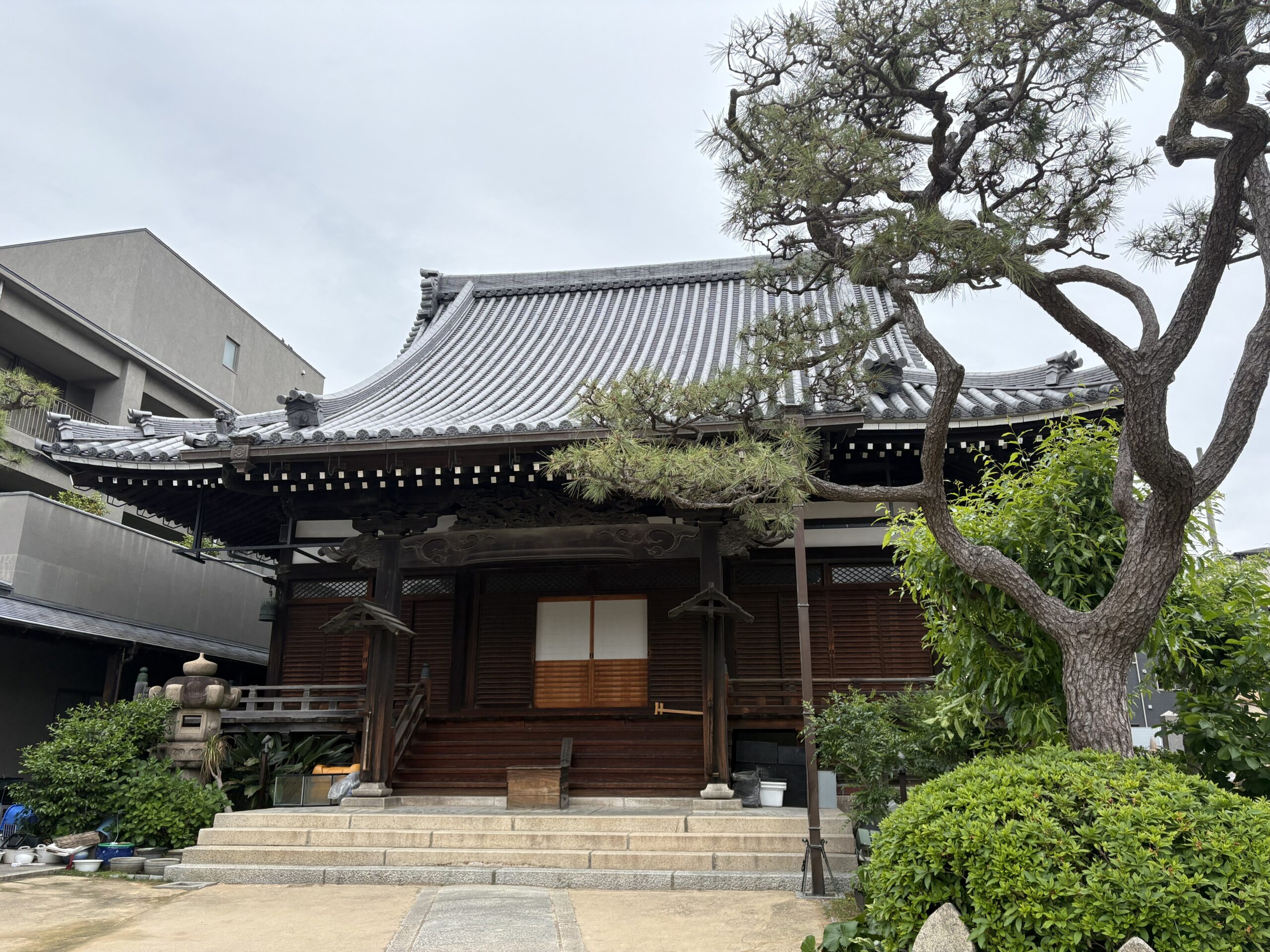 【写真：現在の願成寺全景】