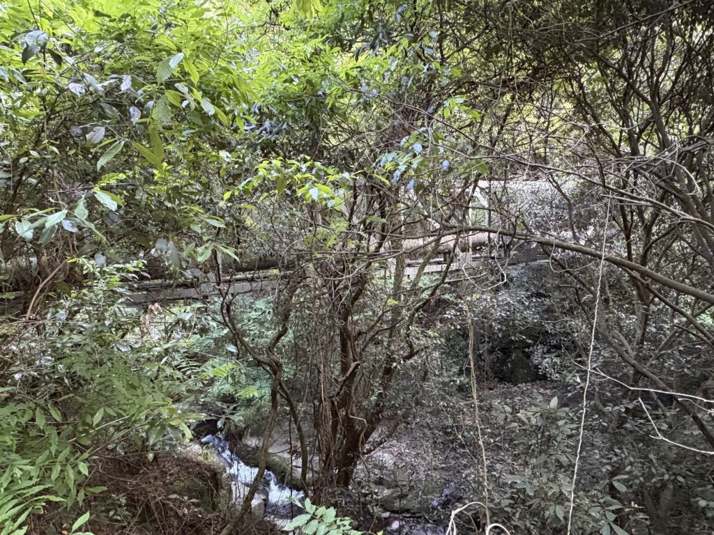 鈴蘭台処理場付近の水管橋。烏原水源放水門前面配管へとつながる現代インフラの起点。
