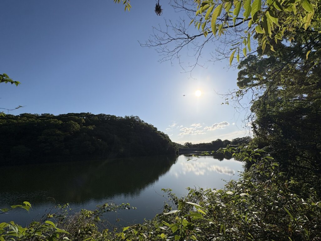烏原貯水池の水面と周囲の森。歴史的水道施設と自然環境が一体となった景観が残る。