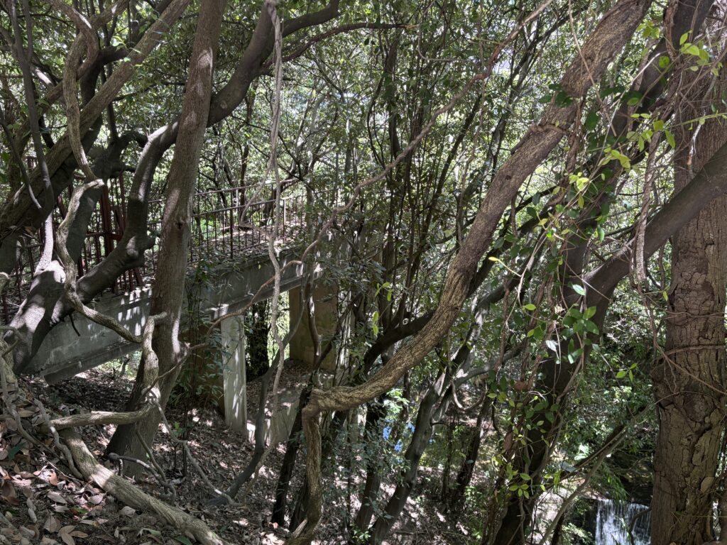現地確認した天王谷水道橋全景。草木と都市化の中に埋もれながら、文献写真と対応するアーチ構造を残していた。