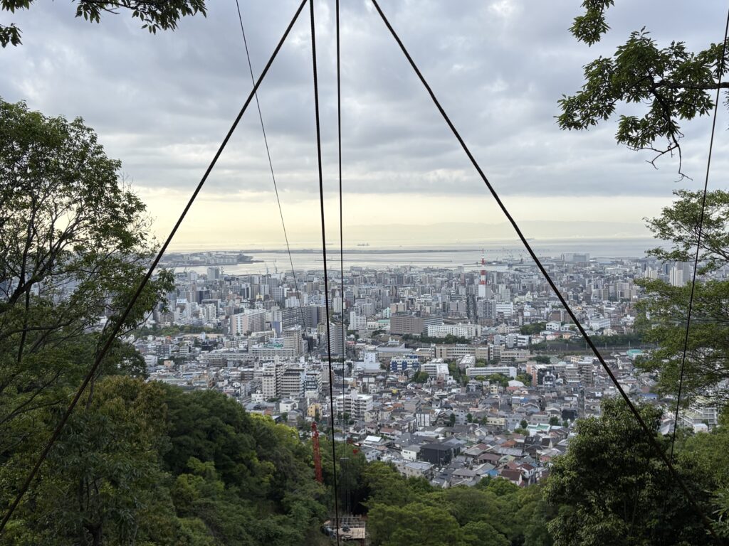 索道付近では木が伐採され、神戸市街地を望むことができる。