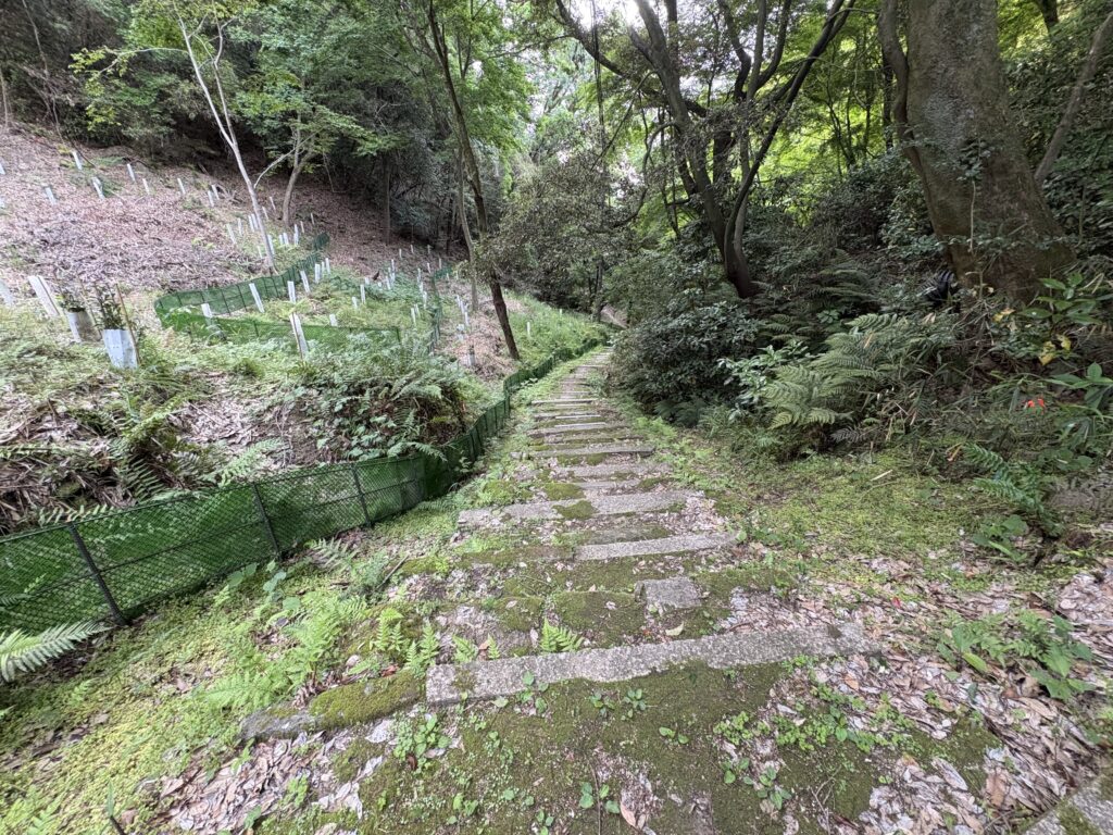 
福寿院夢野大師から下る参道。昭和13年阪神大水害では参拝道が大きく崩れたと伝わる。
