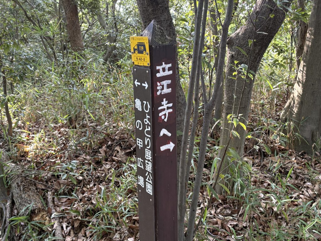 烏原貯水池亀の甲広場からひよどり展望台への山道を進むと奥の院に辿り着く。
