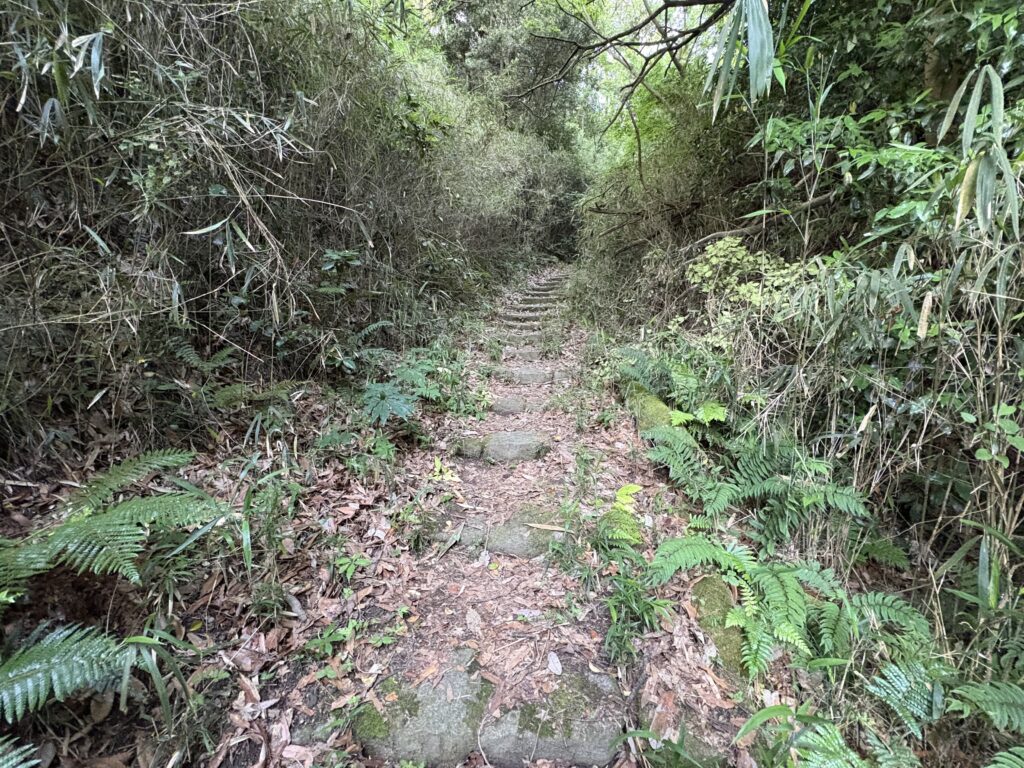 草刈り後の青草の香りが漂うひよどり道。現在も継続的に手入れされている。
