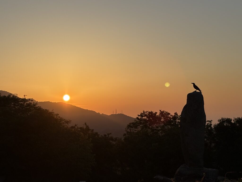 菊水山 日の出 カラス