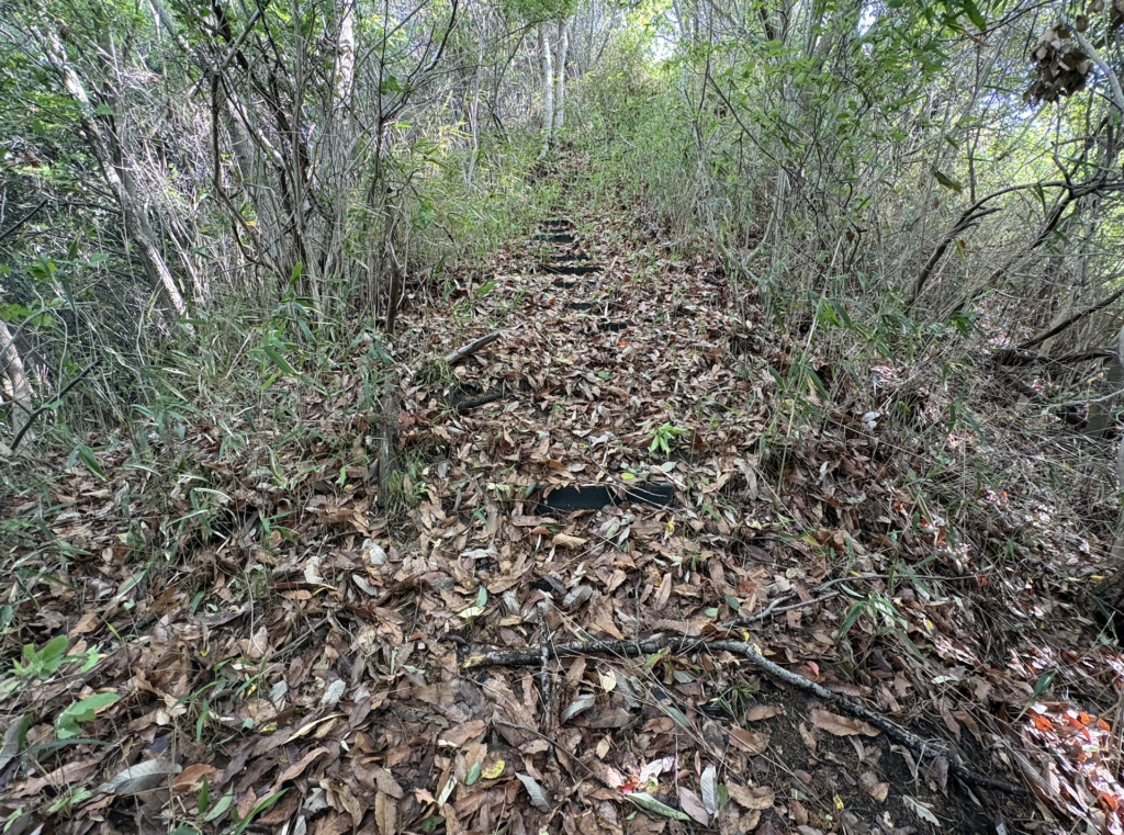菊水山　ゴルフ場　角材階段
