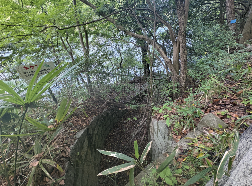 烏原貯水池　天王谷川　放水路　