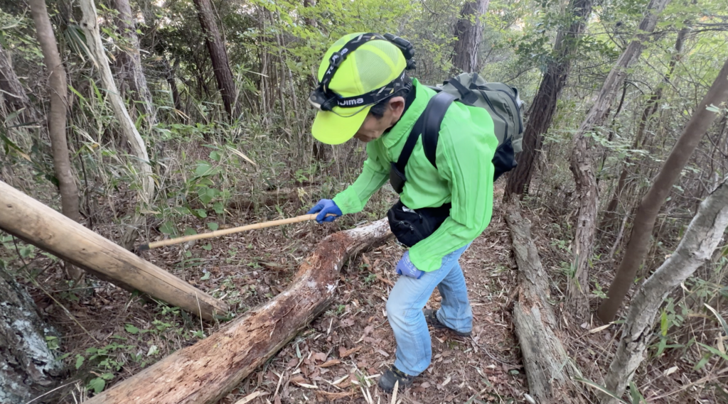 菊水山山頂側から見たガンチャン新道入口。現在は目印も整備され、以前より分かりやすい。