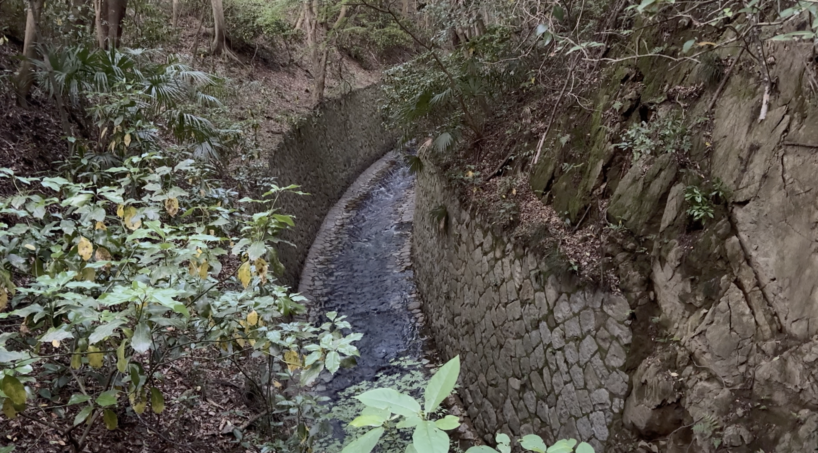 天王取水堰堤から烏原貯水池方面へ続く天王導水路。現在も痕跡を確認できる。