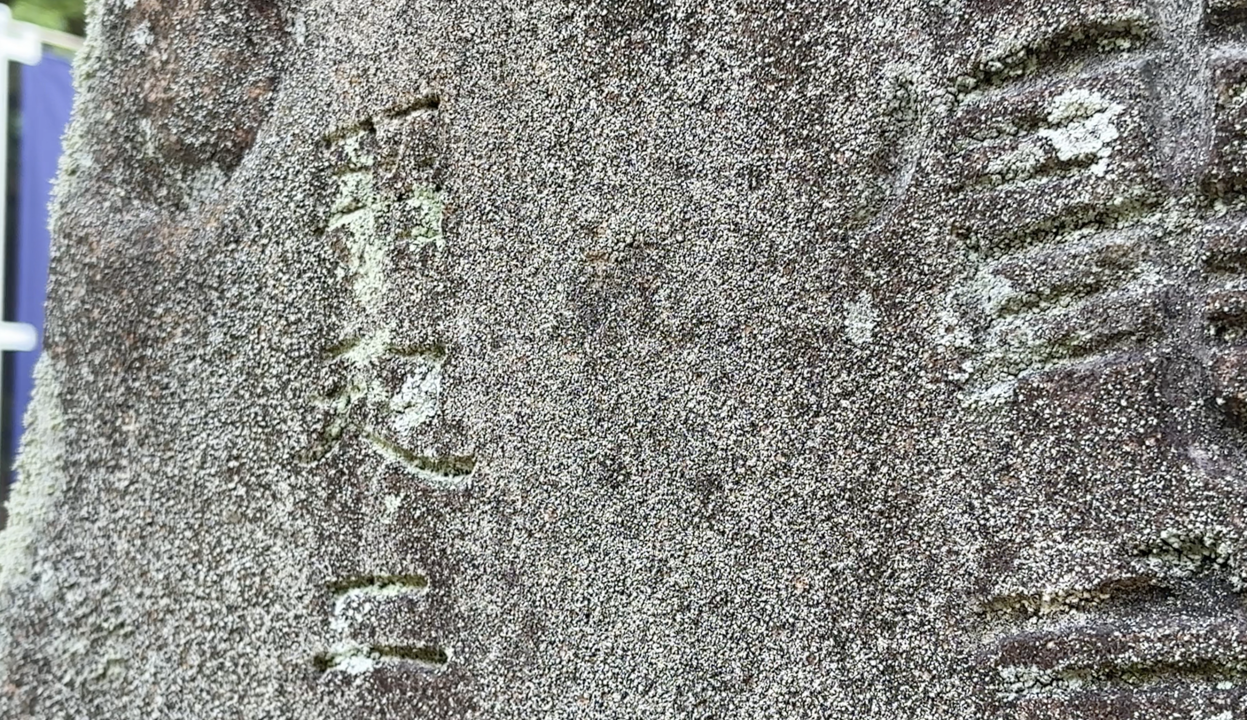 「昭」の字は明瞭で、「和」の口の部分も確認できる。禾偏が風化によりしんにょう状に見えたことが、判読を難しくしていた。