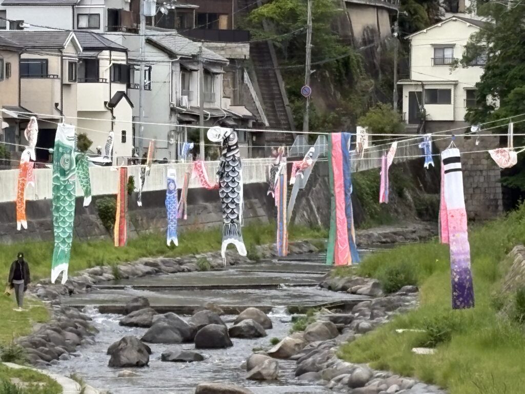 鯉のぼりがかかる石井川。