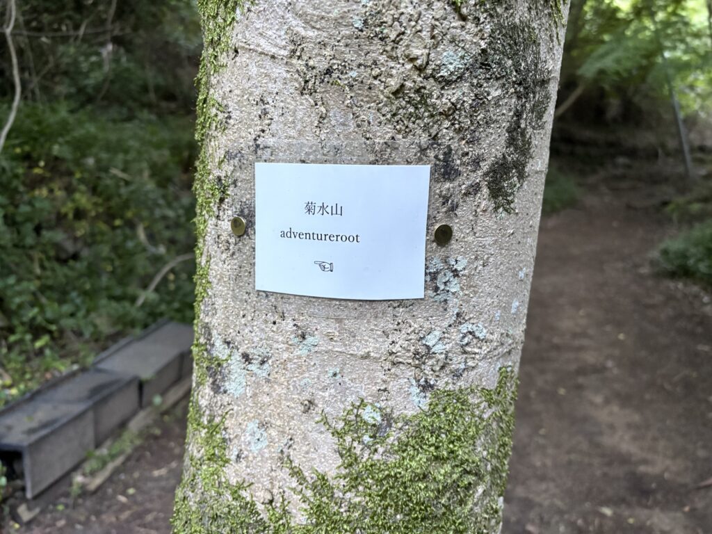 ガンチャン新道の入口、または分岐地点
キャプション：地獄の階段とは別に歩かれている、通称「ガンチャン新道」。現在も整備されながら利用されている。
