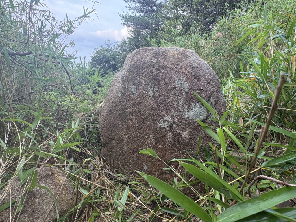 少し角度を変えて撮影した臍岩候補。主岩の左下に別の岩が確認でき、1924年4月1日付『神戸新聞』掲載写真に見える構成とも似ている。