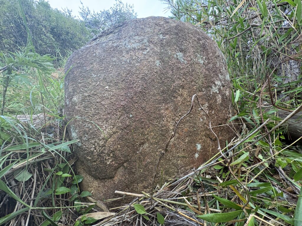 近接して撮影した臍岩候補。表面の凹凸や地衣類が確認できる。