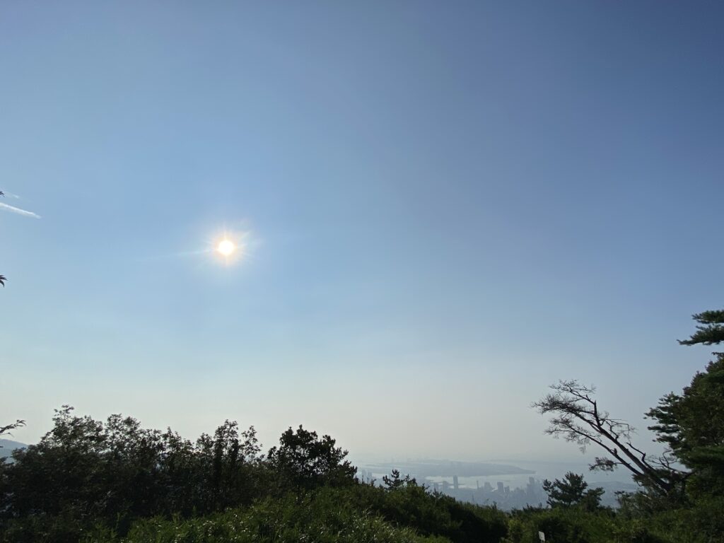 夏至を過ぎると朝は少しずつ遅くなりますが、暑さはむしろ本格化していきます。地面や海、空気に熱が蓄積されることで、8月頃に暑さのピークを迎えます。