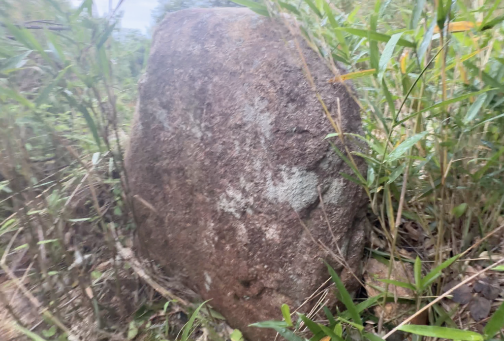 同じ岩を別角度から撮影。角度によって縦長の岩のようにも見える。