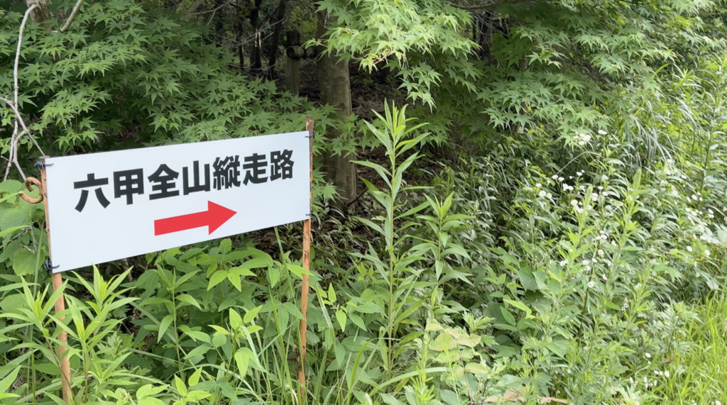 【写真1】草が生い茂った登山道
キャプション：草が伸びた菊水山・六甲全山縦走路。初夏から夏にかけて、山道は一気に草に覆われていく。