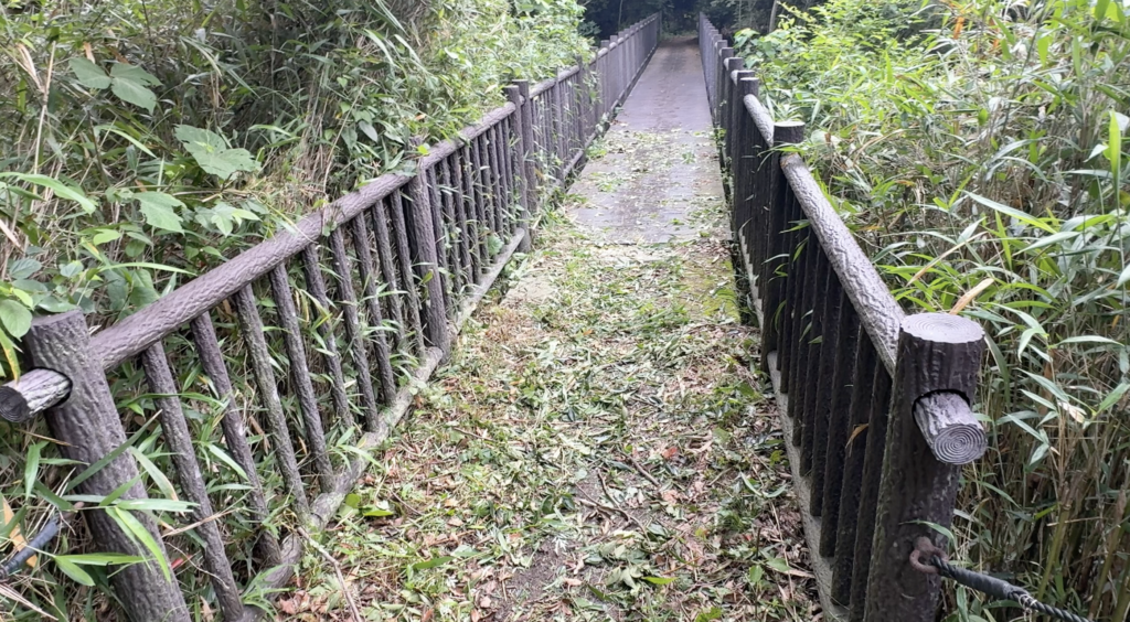 【写真4】草刈り後の登山道
キャプション：草刈り後の山道。風通しがよくなり、歩きやすい道に整えられていた。