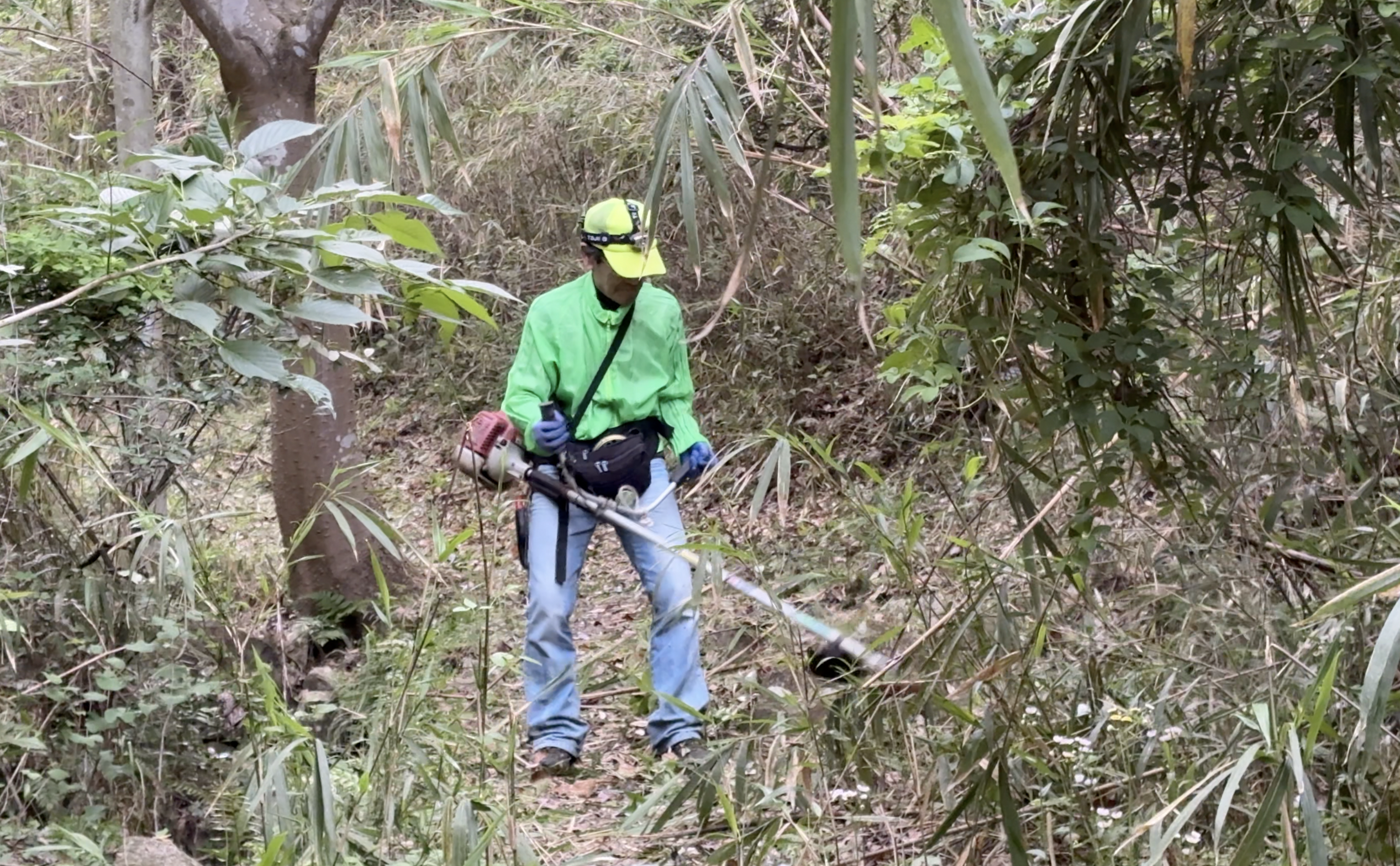 ガンチャン新道から見える景色、または下山後の道 キャプション：整備された道を下りながら、菊水山が多くの人の手によって支えられていることを改めて感じた。