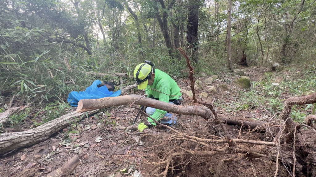 車の入れない山道では、ノコギリを使って少しずつ倒木を処理していく。
