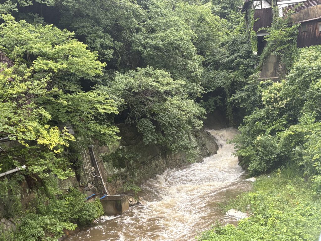 【写真挿入:天王谷川の濁水】
雨の影響で濁りの多い水となっていた天王谷川