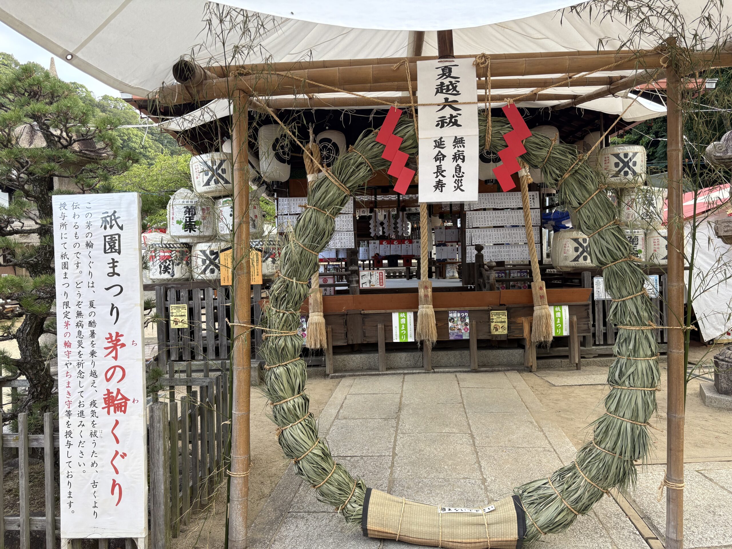 完成後の茅の輪の全景