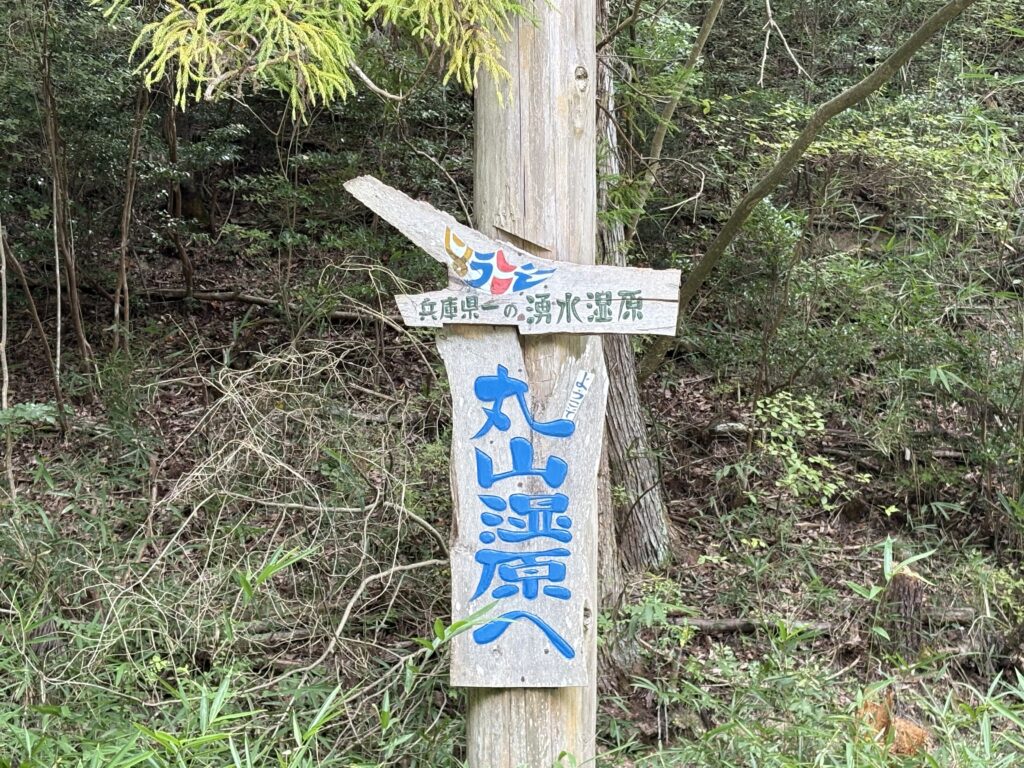 「兵庫県一の湧水湿原・丸山湿原へ」