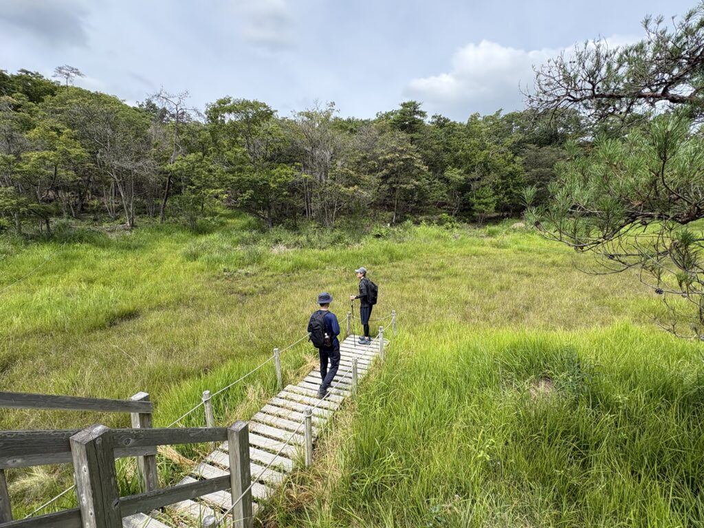 丸山湿原の視点場