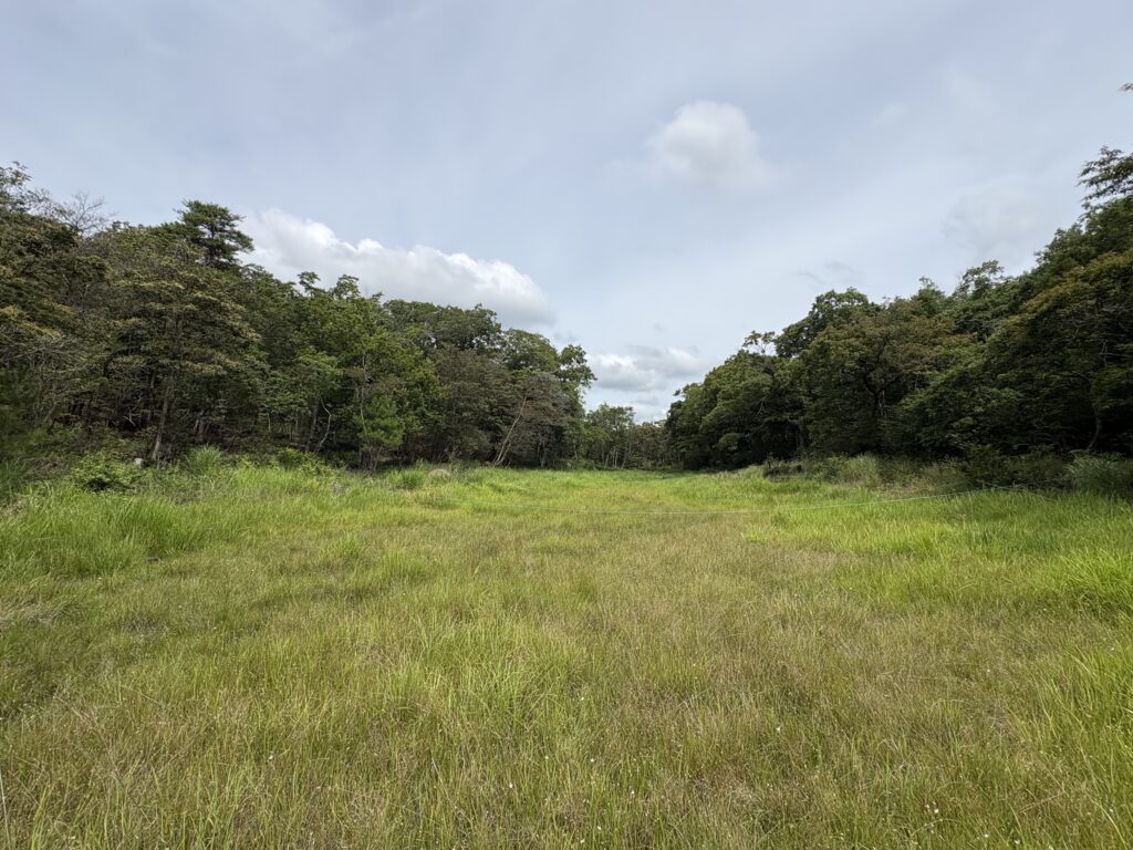 視点場から見る丸山湿原の全体像