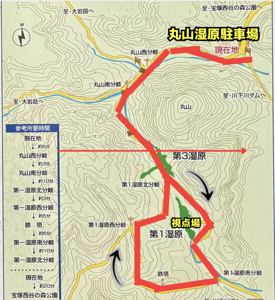 今回歩いた丸山湿原周遊コース